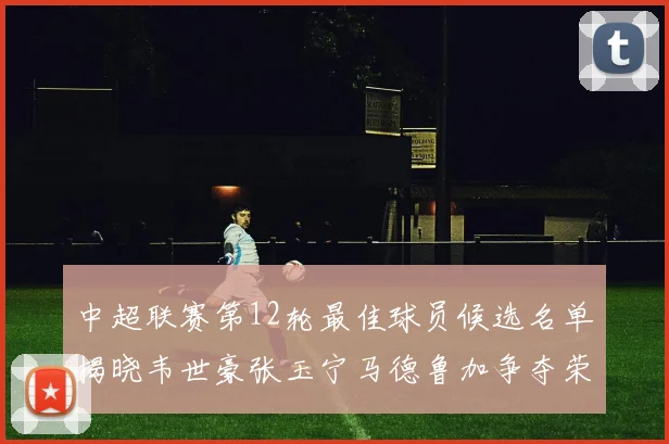 中超联赛第12轮最佳球员候选名单揭晓韦世豪张玉宁马德鲁加争夺荣誉